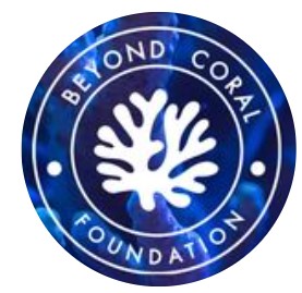 beyond coral